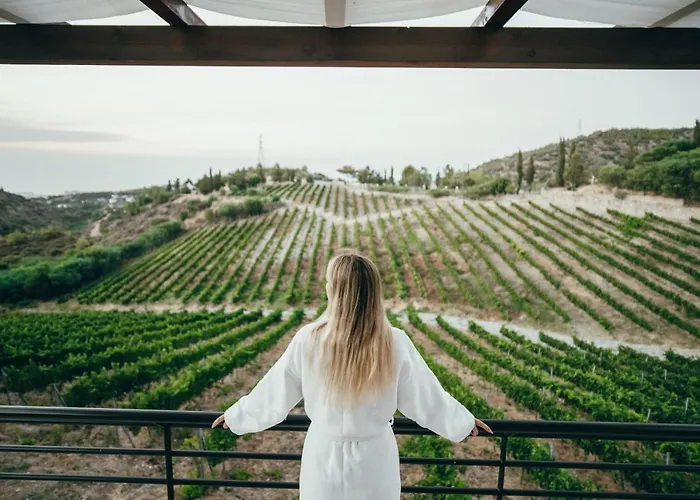 Gillham Vineyard Hotel