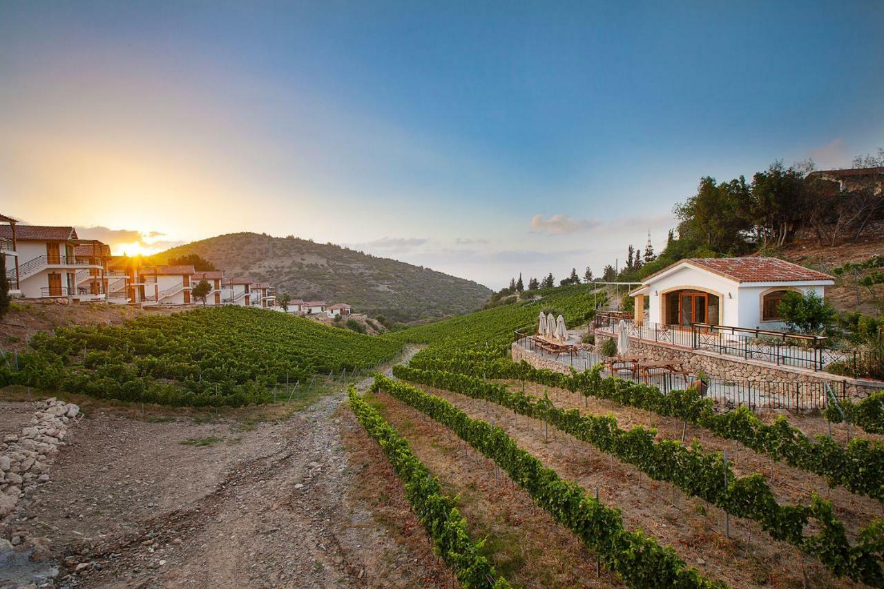 Gillham Vineyard 5*